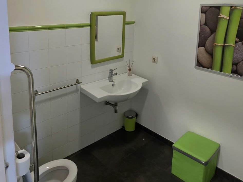 Aseo adaptado con barras de apoyo junto al inodoro y lavabo